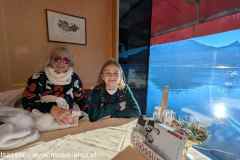 PXL_20241201_123306013