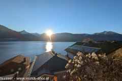 PXL_20241201_142200816.MP_