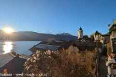 PXL_20241201_142204386